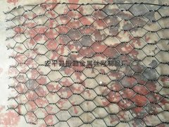 深海养殖围网