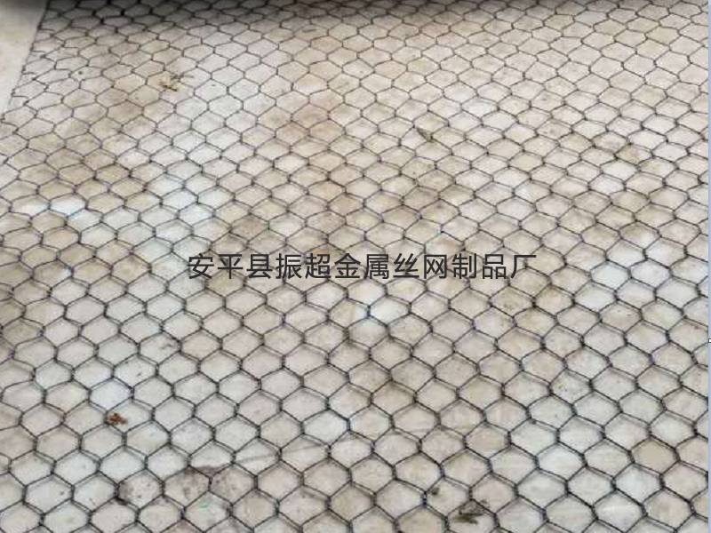 塑钢丝围网-www.zhenchaowy.com